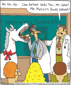 The Argyle Sweater on Saturday January 10, 2009 Comic Strip