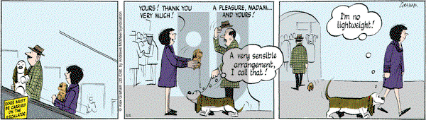 Fred Basset on Monday May 5, 2025 Comic Strip