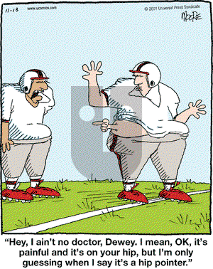 In the Bleachers on Tuesday November 13, 2001 Comic Strip