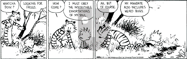 Calvin and Hobbes - Monday March 13, 1995 Comic Strip