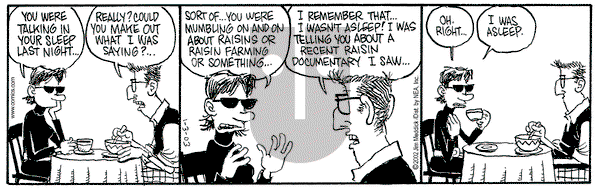 Monty on Friday January 3, 2003 Comic Strip