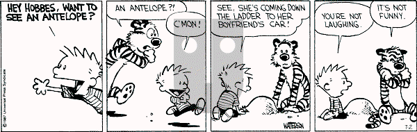 Calvin and Hobbes - Thursday July 2, 1987 Comic Strip