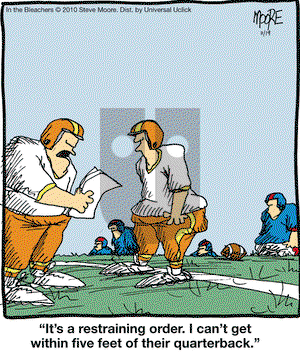 In the Bleachers on Friday November 19, 2010 Comic Strip