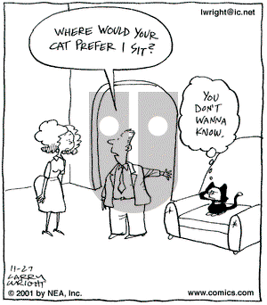 Kit 'N' Carlyle on Tuesday November 27, 2001 Comic Strip