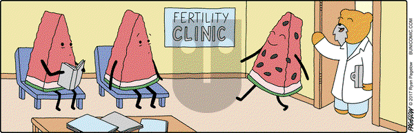 Buni on Friday June 16, 2017 Comic Strip