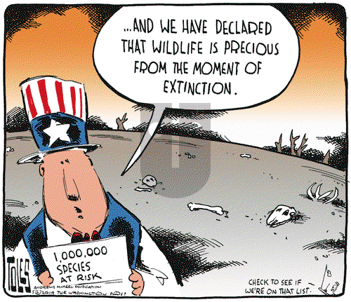 Tom Toles on Wednesday May 22, 2019 Comic Strip