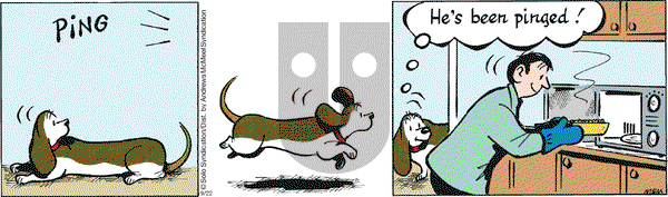 Fred Basset on Wednesday September 22, 2021 Comic Strip