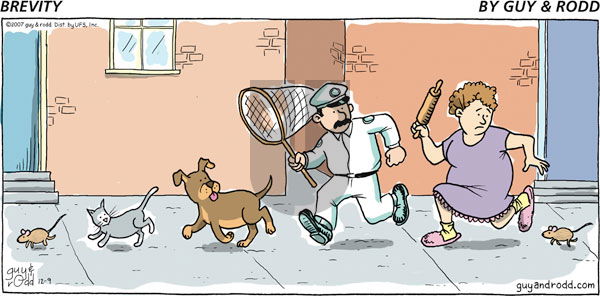 Brevity - Sunday December 9, 2007 Comic Strip