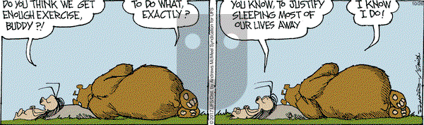 The Grizzwells on Thursday October 26, 2017 Comic Strip
