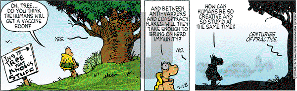 Over the Hedge on Tuesday July 28, 2020 Comic Strip