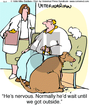 Cornered - Wednesday August 4, 1999 Comic Strip