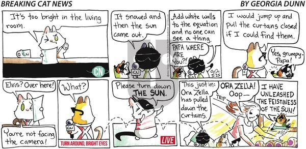 Breaking Cat News - Sunday February 25, 2024 Comic Strip