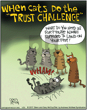 The Flying McCoys on Tuesday January 31, 2017 Comic Strip
