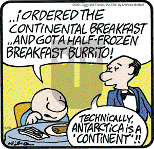 Ziggy on Friday June 25, 2021 Comic Strip