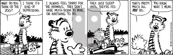 Calvin and Hobbes - Thursday July 21, 1988 Comic Strip