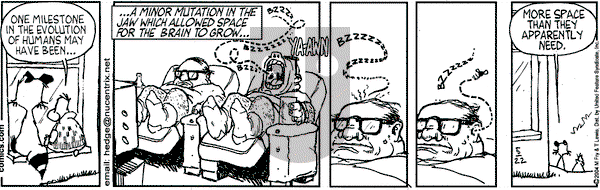 Over the Hedge on Saturday May 22, 2004 Comic Strip