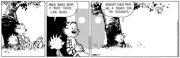 Calvin and Hobbes on Wednesday June 7, 1995 Comic Strip