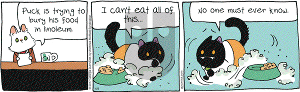 Breaking Cat News - Saturday April 8, 2017 Comic Strip