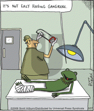 The Argyle Sweater on Friday March 27, 2009 Comic Strip