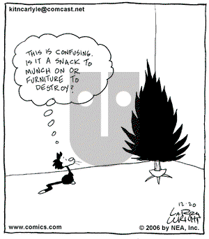 Kit 'N' Carlyle on Wednesday December 20, 2006 Comic Strip