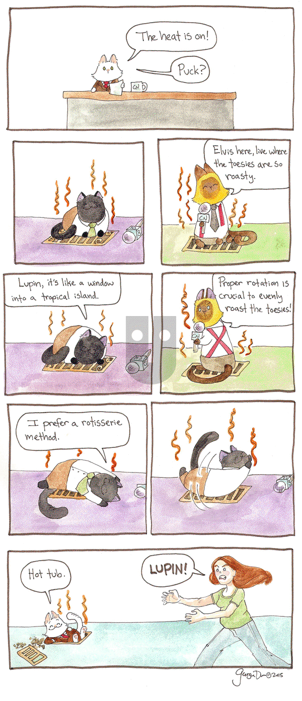 Breaking Cat News on Tuesday November 29, 2016 Comic Strip