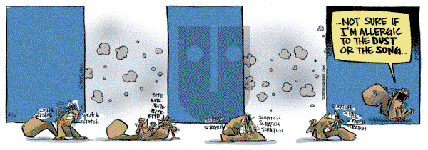 Bob the Squirrel on Wednesday April 16, 2025 Comic Strip