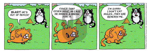 Learn to Speak Cat on Monday February 3, 2025 Comic Strip