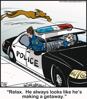 Marmaduke on Monday January 28, 2019 Comic Strip