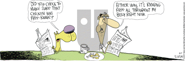 The Duplex on Wednesday June 7, 2017 Comic Strip