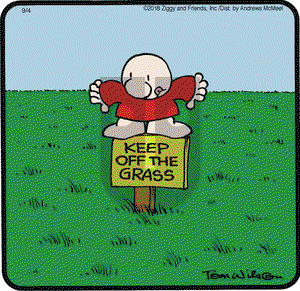 Ziggy on Tuesday September 4, 2018 Comic Strip