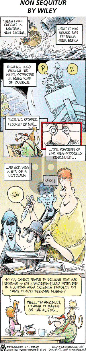 Non Sequitur on Sunday June 14, 2009 Comic Strip