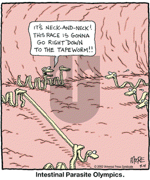 In the Bleachers on Thursday April 4, 2002 Comic Strip