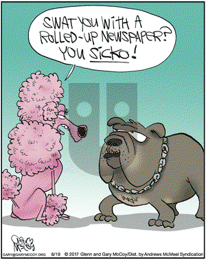 The Flying McCoys on Saturday August 19, 2017 Comic Strip