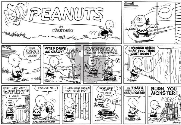 Peanuts on Sunday May 13, 1956 Comic Strip