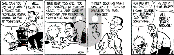 Calvin and Hobbes - Thursday March 16, 1989 Comic Strip