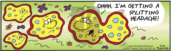 Frank and Ernest on Wednesday July 21, 2010 Comic Strip