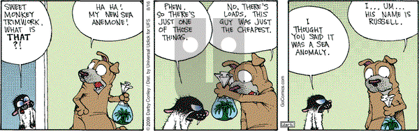 Get Fuzzy on Tuesday August 16, 2016 Comic Strip