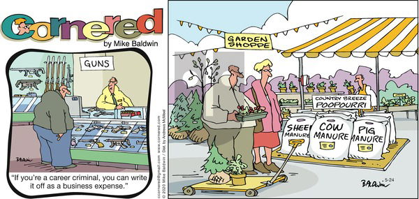 Cornered on Sunday May 24, 2020 Comic Strip