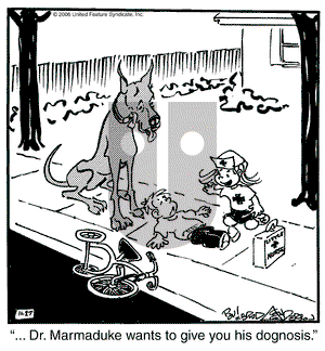 Marmaduke - Monday November 27, 2006 Comic Strip