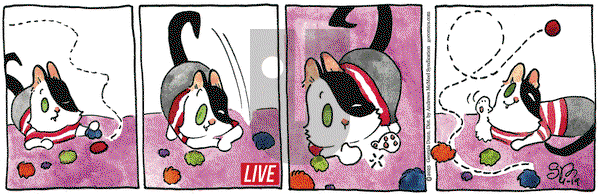 Breaking Cat News on Saturday April 19, 2025 Comic Strip