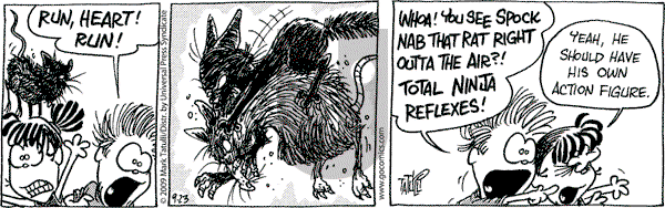 Heart of the City on Wednesday September 23, 2009 Comic Strip