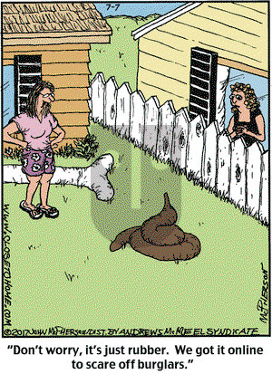 Close to Home on Friday July 7, 2017 Comic Strip
