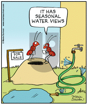 Half Full on Tuesday November 12, 2013 Comic Strip