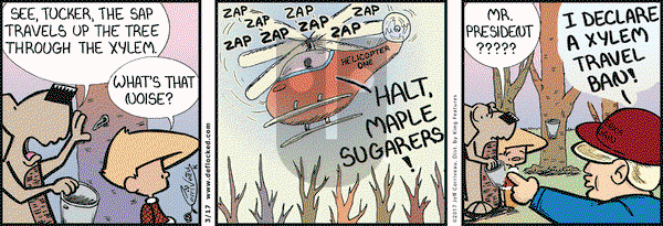 DeFlocked on Friday March 17, 2017 Comic Strip