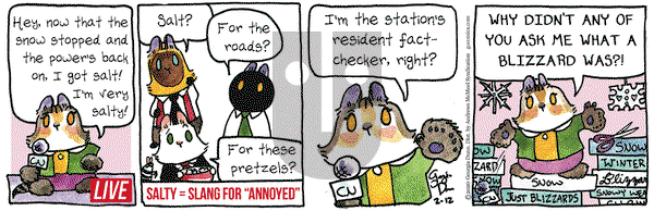 Breaking Cat News on Wednesday February 12, 2020 Comic Strip