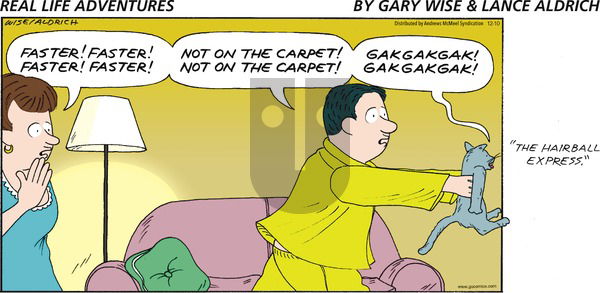 Real Life Adventures - Sunday December 10, 2023 Comic Strip