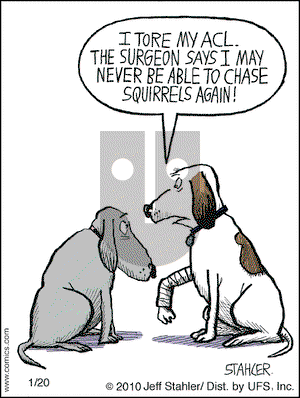Moderately Confused on Wednesday January 20, 2010 Comic Strip