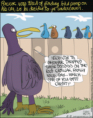 The Flying McCoys on Monday May 5, 2025 Comic Strip