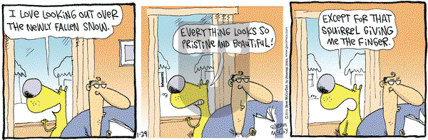 The Duplex on Wednesday January 29, 2014 Comic Strip