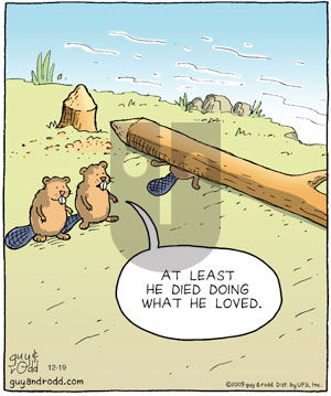 Brevity on Saturday December 19, 2009 Comic Strip